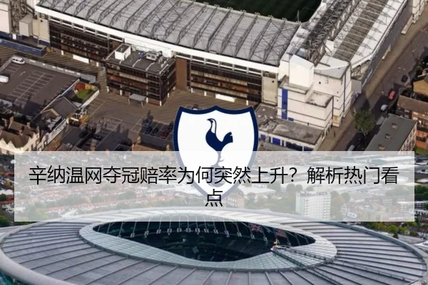 辛纳温网夺冠赔率为何突然上升?解析热门看点